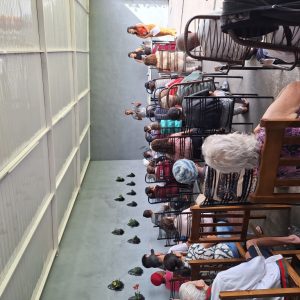 centro-dia-feji-06